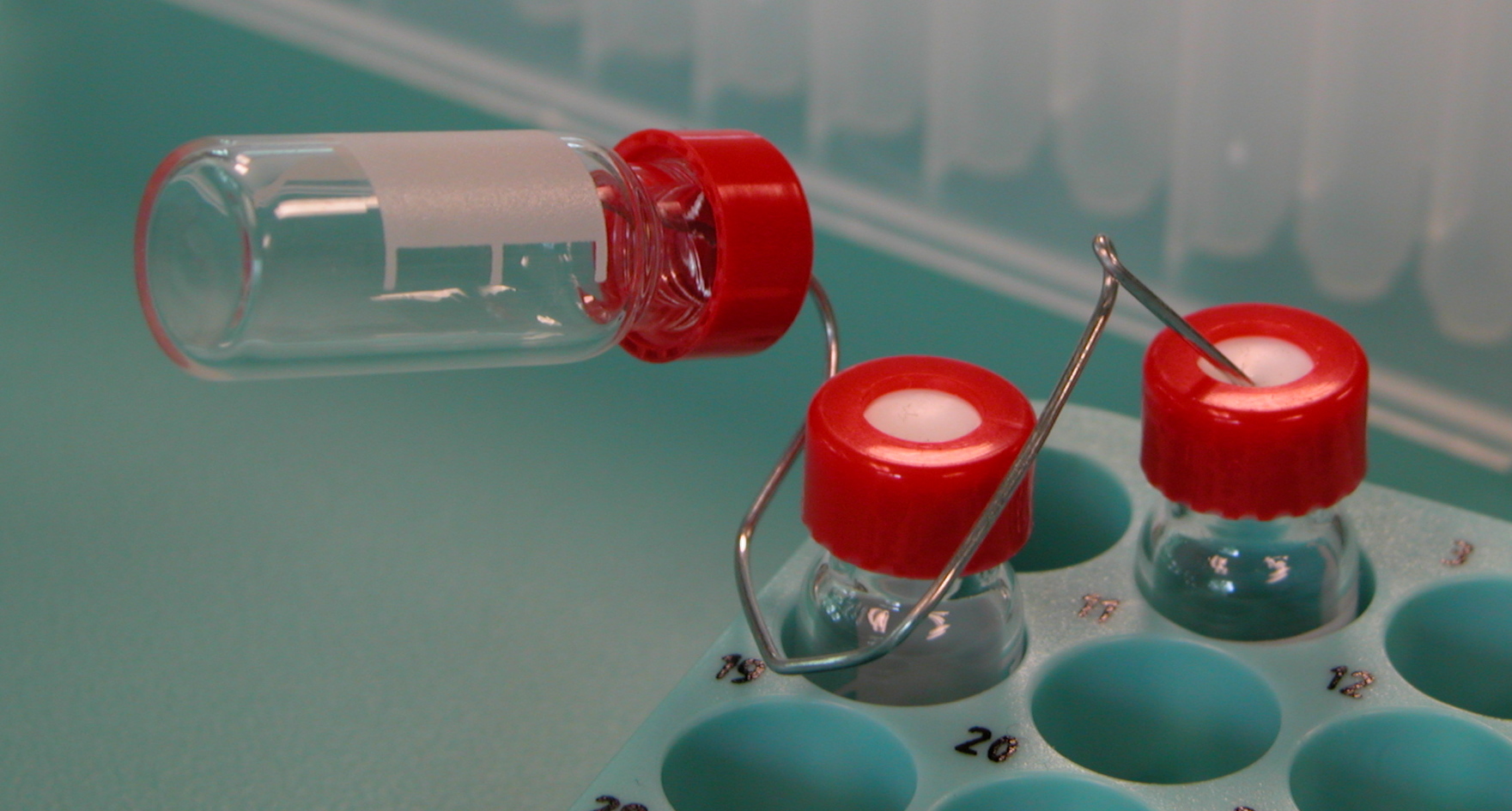 Glass laboratory vials arranged for research supply